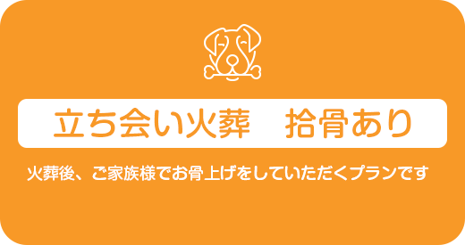 立ち会い火葬　拾骨あり