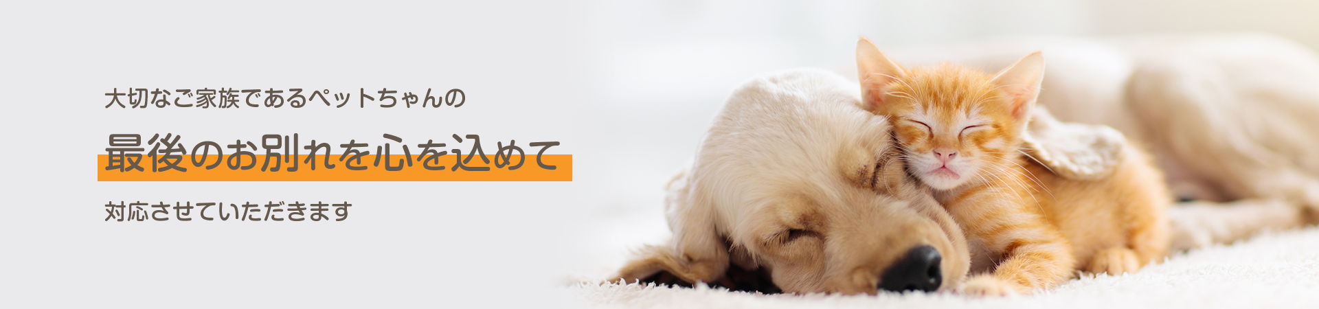 大切なご家族であるペットちゃんの最後のお別れを心を込めて対応させていただきます
