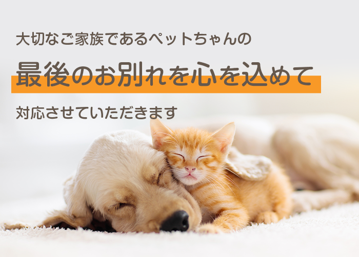 大切なご家族であるペットちゃんの最後のお別れを心を込めて対応させていただきます